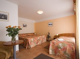 Подарите себе отдых в Чехии! ✈ Большой выбор горящих туров и путевок в Чехию от туроператора All-Czech. ✓Оптимальные цены. Звоните сейчас ☎ (044) 592-68-22